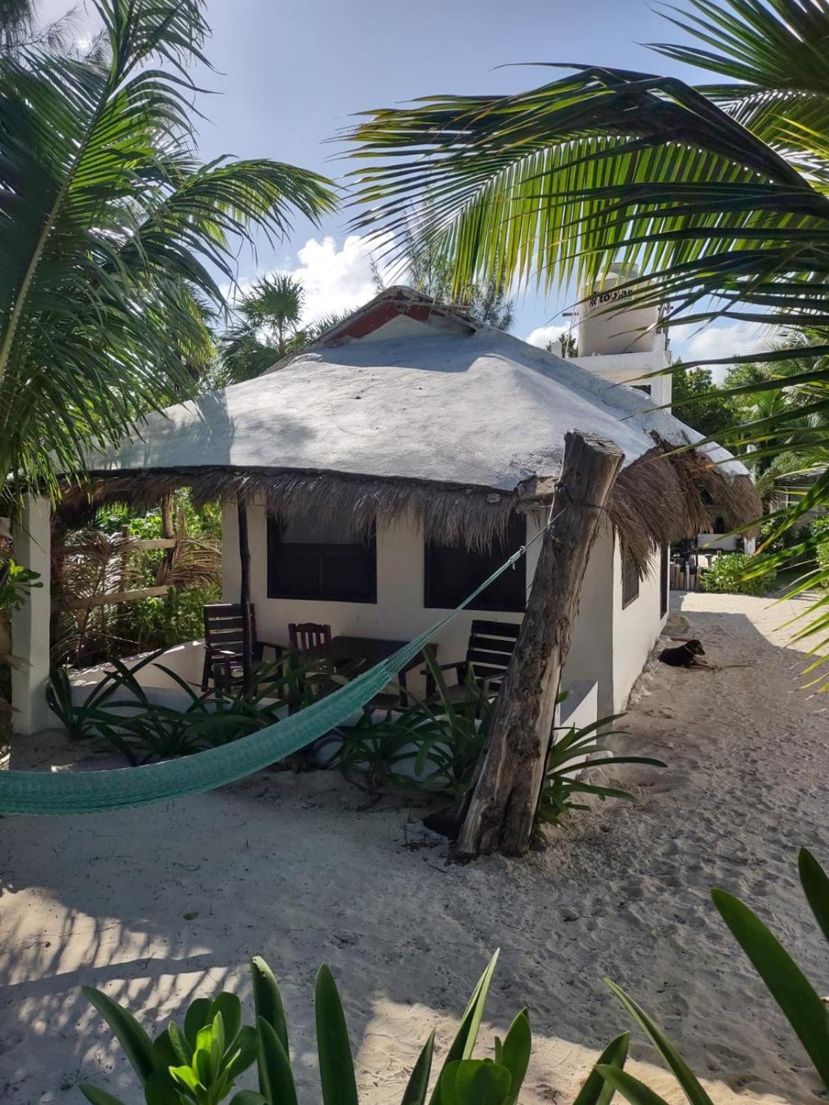 Lunazul Eco-Cabana Frente Al Mar Маауаль Екстер'єр фото