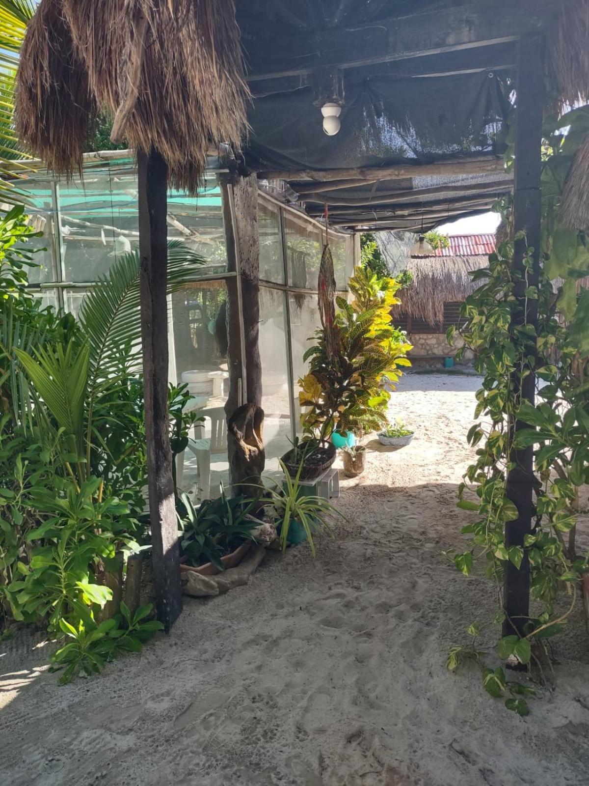 Lunazul Eco-Cabana Frente Al Mar Маауаль Екстер'єр фото